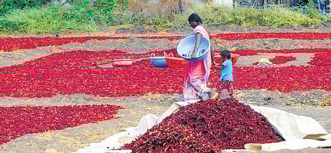 For representational purpose. (Photo | D Hemanth)