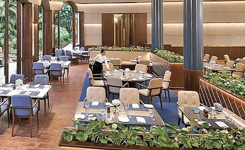 Dining in the lap of nature