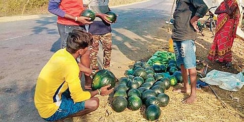 Watermelons being sold on Malkangiri-Balimela road. (Photo| EPS)