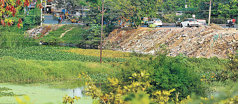 Budameru canal in Vijayawada filled with water hyacinth. (Photo| EPS/P Ravindra Babu)