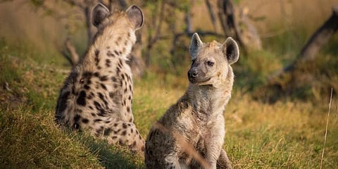 Representational image