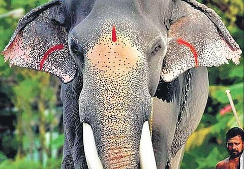 Guruvayur Padmanabhan | FILE PIC