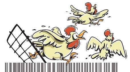 For representational purposes