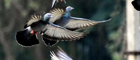 Image used for representational purpose only (File Photo)