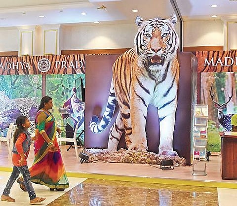 New tourism policy will be a game-changer: Andhra Pradesh tourism body CEO