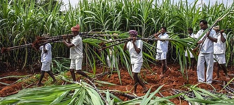 No mind is idle here; more inmates to be involved in Agri works