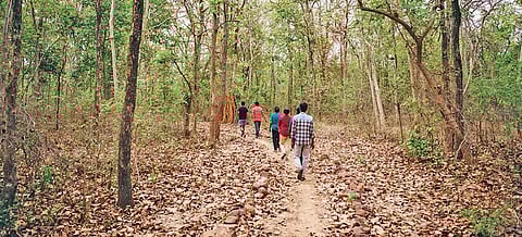 For representational purpose