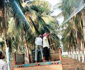A farmer sprays anti-whitefly pesticide at Dammapet mandal in Khammam district