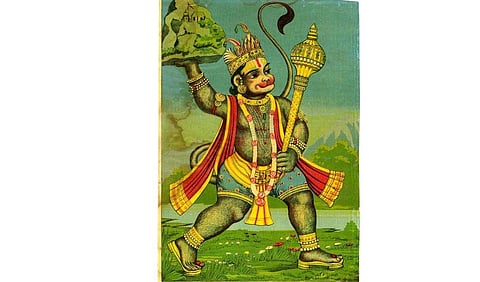 Ayurvedic experts expressed delight at the development and said the herb is not fictional but real (Photo | EPS).