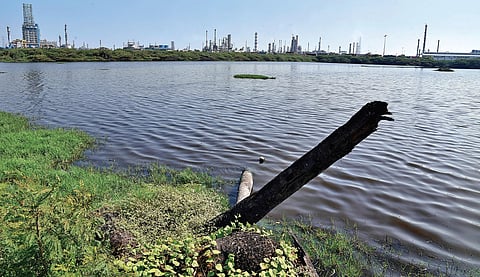 Sathangadu Lake which was 77 acres is now only 10 acres due to encroachments | R Sathish Babu, EPS