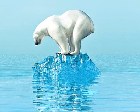 Apocalypse now: The Earth has only ten years to reverse climate change blowback