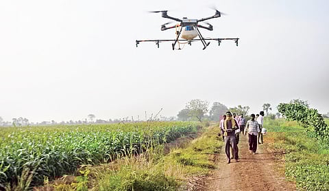Kotireddy using a drone to spray pesticide in a farm at Namburu on Saturday | Prasant Madugula