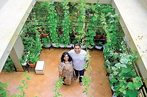 Photos: Pandarinath B