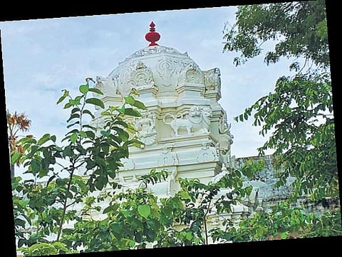 A stately Nayak era temple