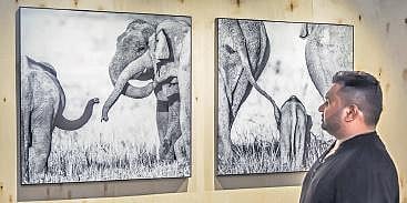 Mammoth in many ways