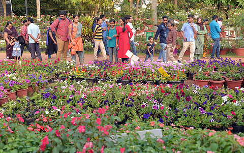 For representational purpose. (Photo | Vincent Pulickal, EPS)