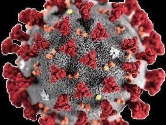 Coronavirus: Indians Stranded at Italy’s airports battle odds