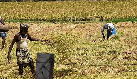 For representational purposes (Photo | Express)