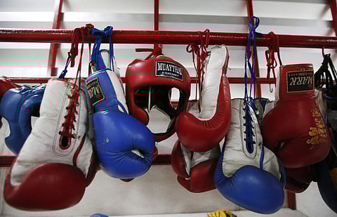 Boxers cleared to resume training