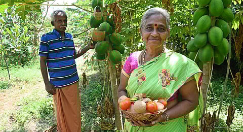 The husband-wife duo shifted to  Coimbatore in 2010. (Photo | A Raja  Chidambaram, EPS)