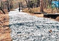 Road work in progress through wildlife sanctuaries of Shivamogga  | Express