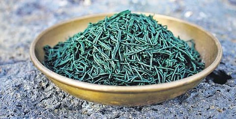 Super foods to there scue