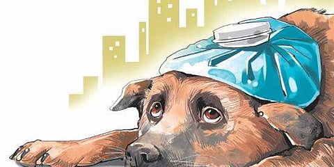 Image for representation.