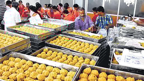 Laddus being packed for free distribution among TTD employees at Administrative Building in Tirupati on Saturday. 