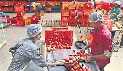 For representational purpose. (Photo | EPS)