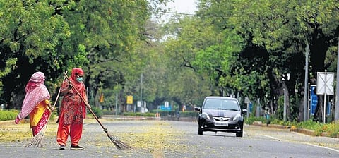 Municipal workers go about their jobs wearing masks. (Photo | Shekhar Yadav,  EPS)