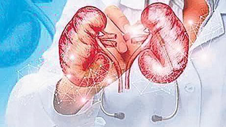 1,039 diagnosed with kidney disease in Kovai