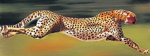 Gujarat keen on hosting Cheetah