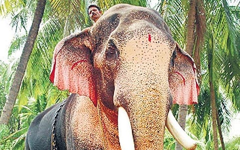 Thechikottukavu Ramachandran