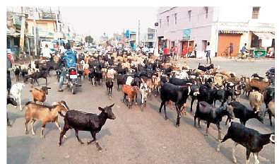 For representational purpose. (Photo | EPS)