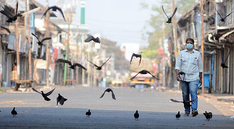 A man wearing a mask walks into the pigeons feeding on fallen grain. (Photo | Manu R Mavelil, EPS)