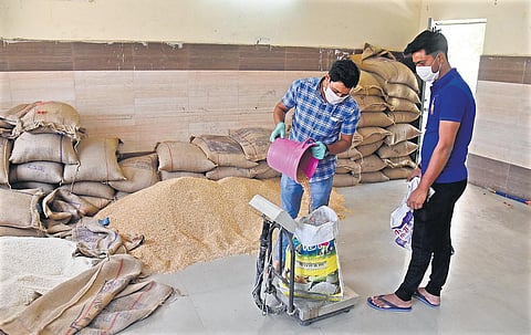 Centre revises allocation, ration card 
holders to get wheat from October