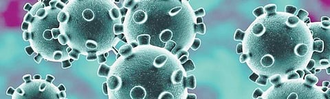 Documentaries and science-features thrive on coronavirus pandemic