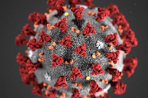 COVID-19: This dip in growth rate is quite interesting