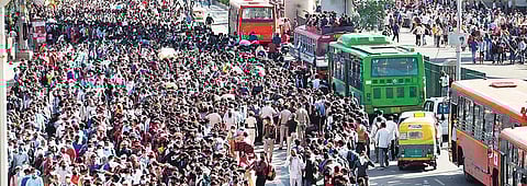 Migrants key to economy reboot