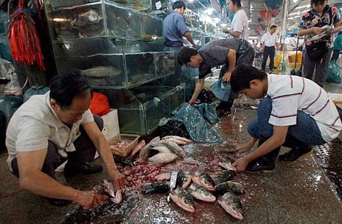 Chinese seafood vendors prepare fresh fish at a wet market in Beijing. (File Photo | AFP)