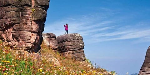 Image for representation