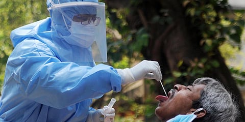 Smells like Quarantine Spirit