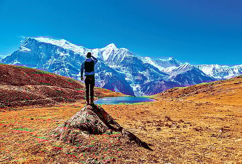 Christopher Moswitzer (Photo| Dreamstime.com)