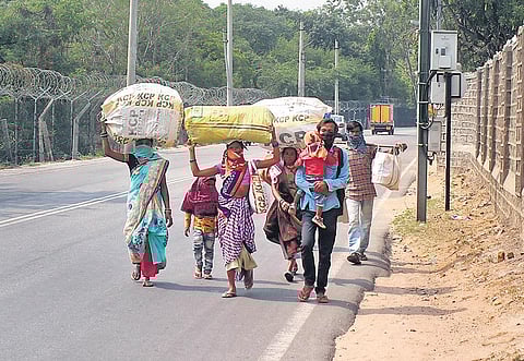 Migrants walk to their hometown. (Photo | EPS)
