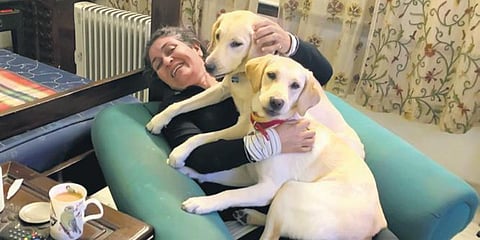 Seema Kohli’s labs Luna and Tara are very happy she is home all day; (below) the artist in her studio with the artwork she created after lockdown began. (Photo| EPS)