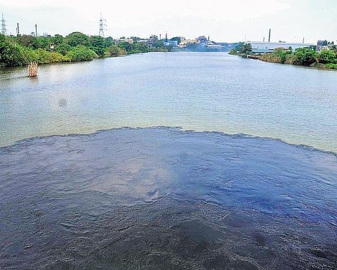 The polluted Periyar river at Eloor | File pic