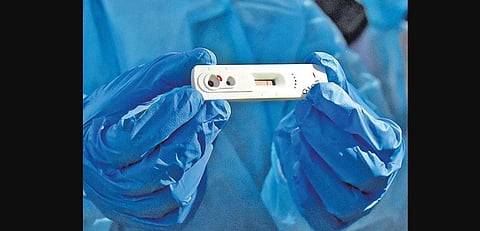 Rapid antibody testing kit