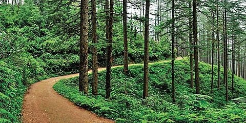 For representational purposes