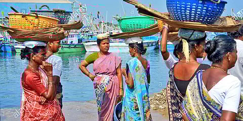 Fisherwomen in Dakshina Kannada district. (Photo| Twitter/ @KotasBJP)