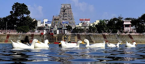 Kapaleeshwarar Temple in Chennai. (Photo | PTI)